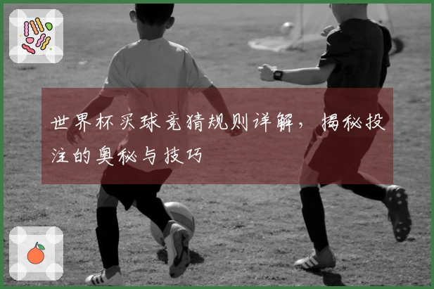 世界杯买球竞猜规则详解，揭秘投注的奥秘与技巧