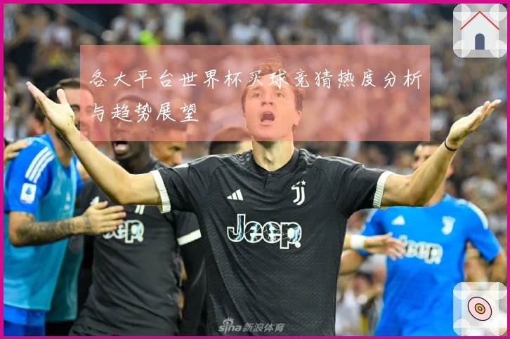 各大平台世界杯买球竞猜热度分析与趋势展望