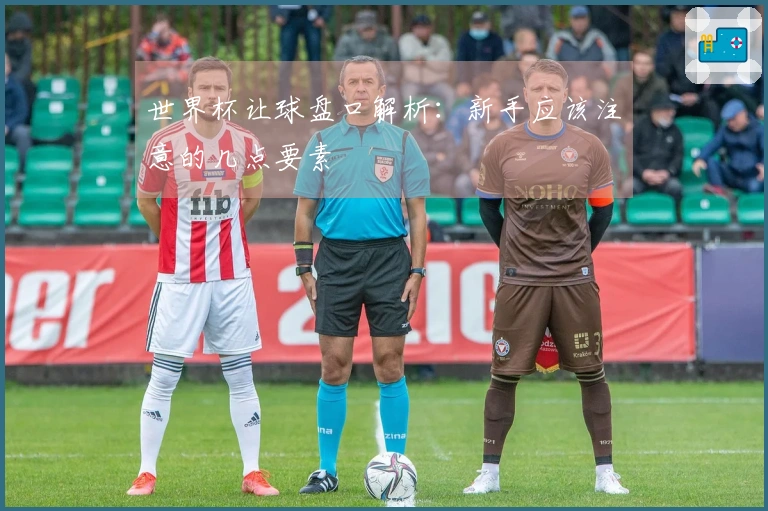 世界杯让球盘口解析：新手应该注意的几点要素